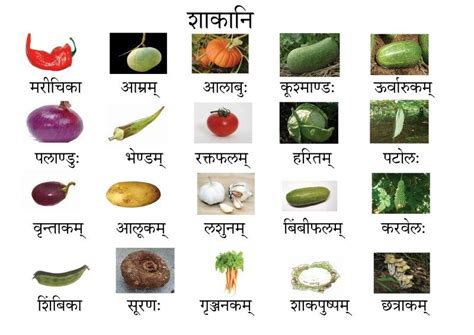 10 vegetables name in sanskrit|10 Vegetables Name in Sanskrit with Pic.